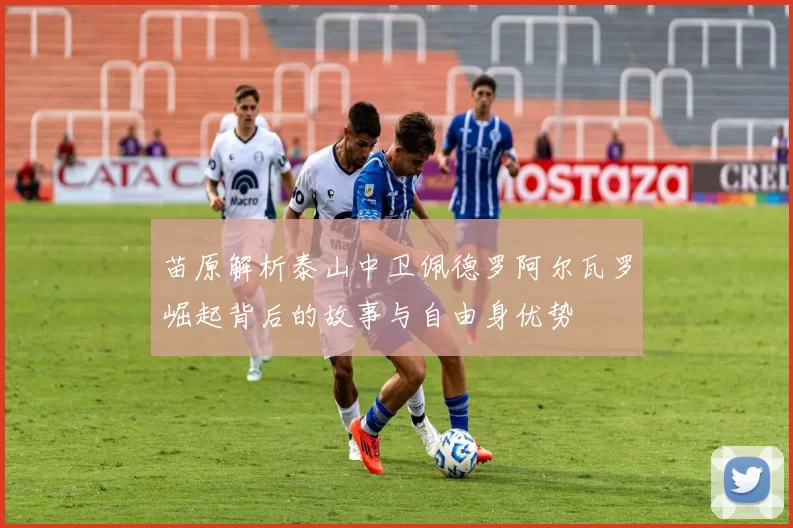 苗原解析泰山中卫佩德罗阿尔瓦罗崛起背后的故事与自由身优势